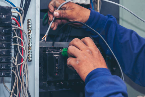 Best Electrician Near Me  in Victoria, MN
