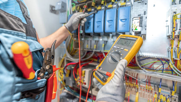 Best Electrical System Inspection  in Victoria, MN