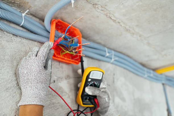 Best Electric Panel Repair  in Victoria, MN